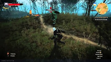 Witcher 3 Gargoyle (lvl 19) VS Geralt (lvl 7) Fight