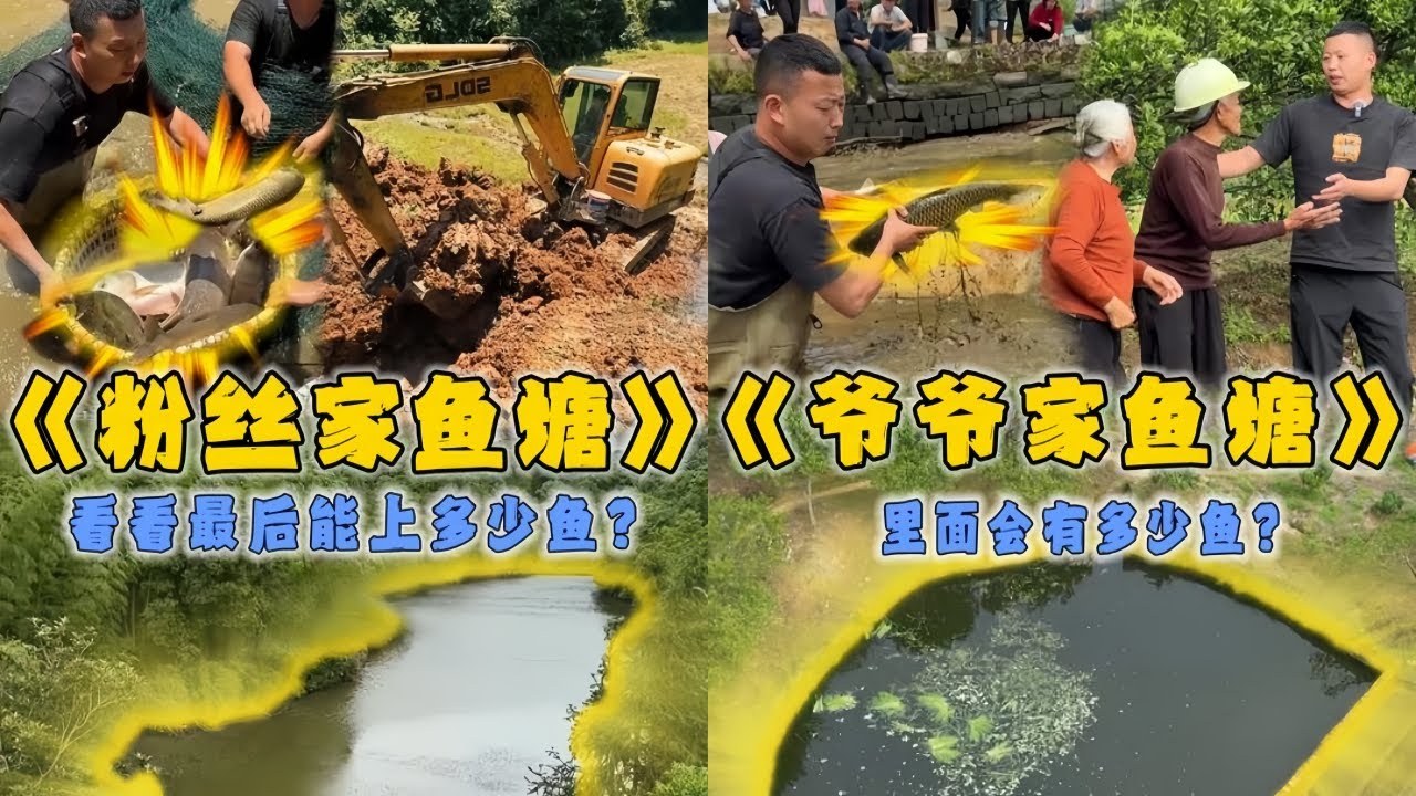 小飞哥在宜春花36666元包下粉丝家鱼塘，看看里面能上多少鱼？｜花4000元包下爷爷奶奶养的鱼，看看里面能上多少鱼？