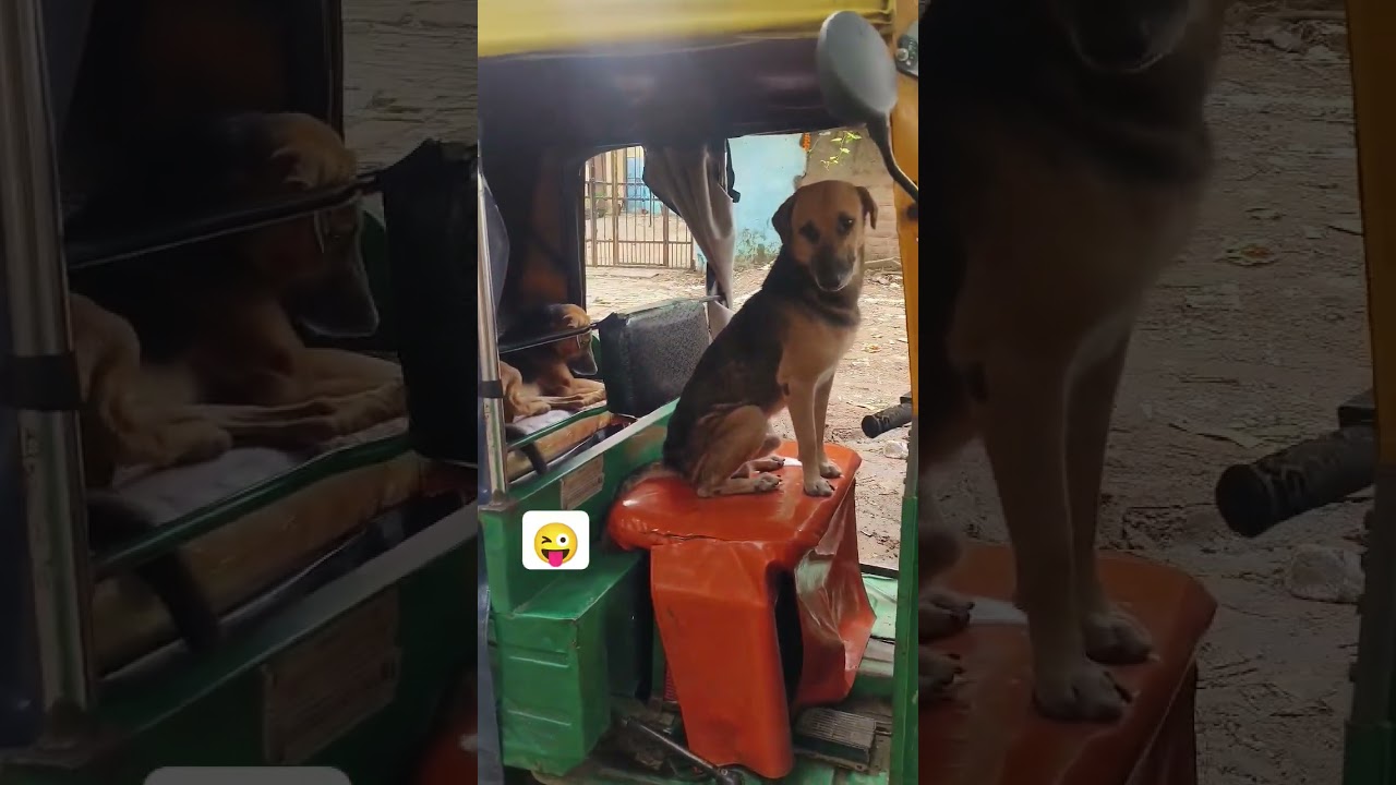 Chalo re Ram mandir 😀 