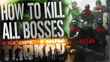 HOW TO KILL ALL BOSSES - EFT WTF MOMENTS  #351 - Escape From Tarkov Highlights