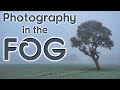 Woodland photography in the fog - landscape photography