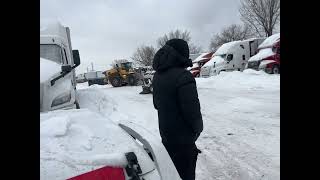 Snow Day Nyc 2026 Limpieza En La Yarda