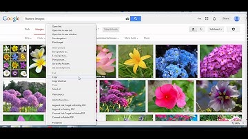 Livebinders Tutorial part 4: Entering text and pictures