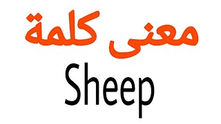 معنى كلمة Sheep | الصحيح لكلمة Sheep | المعنى العربي ل Sheep | كيف تكتب كلمة Sheep