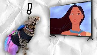 My Cat Learned a Word From Pocahontas (And Then Taught It To Me)