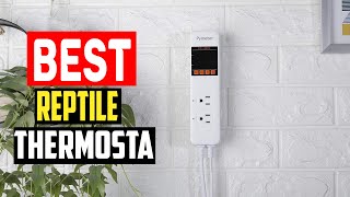 ✅Top 5 Best Reptile Thermostat in 2025