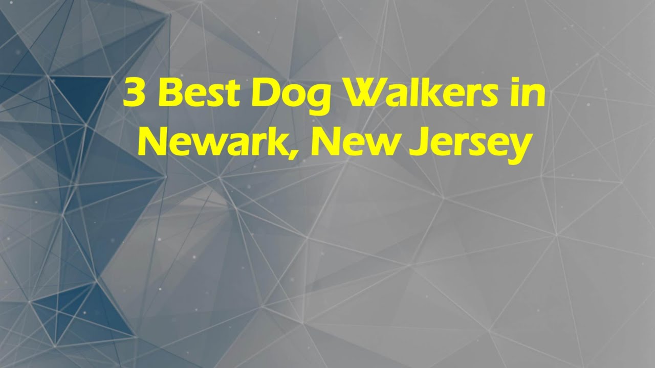 3 лучших места для выгула собак в Ньюарке, Нью-Джерси | Услуги по выгулу собак