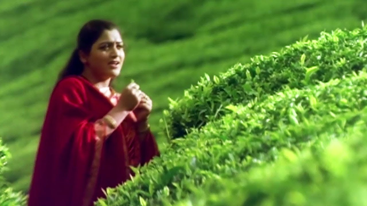 Tak Tak Tamil Video Song   Thulli Thirintha Kaalam  P Unnikrishnan  Arun Vijay  Khushboo