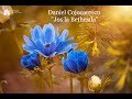 Daniel Cojocărescu "Jos la Bethesda" NOU 2018 [Official Video]