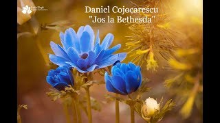 Daniel Cojocărescu "Jos la Bethesda" NOU [Official Video] chords