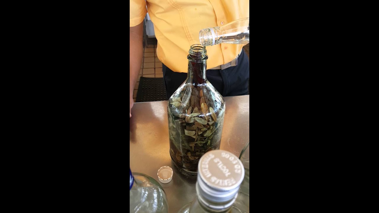 Como preparar una botella. De mamajuana. YouTube
