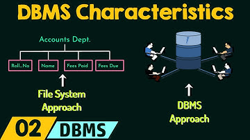 DBMS Characteristics