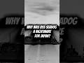 WHY WAS USS SEADOG A NIGHTMARE FOR JAPAN? #shorts #history
