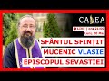 🔴 LIVE #798 - SFÂNTUL SFINȚIT MUCENIC VLASIE EPISCOPUL SEVASTIEI || Pr. IACHINT
