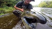 Salmon River Town pool Pulaski. - YouTube