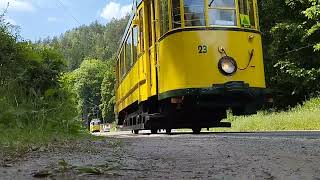 Die Kirnitzschtalbahn auf dem Weg zum Lichtenhainer Wasserfall