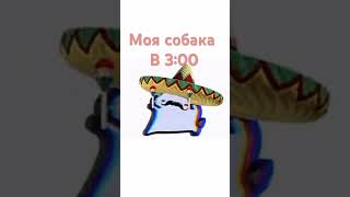 26 октября 2025 г.