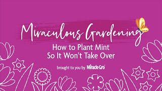 Miraculous Gardening - How to Plant Mint So It Won't Take Over by Miracle-Gro 664 views 2 years ago 31 seconds