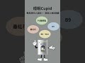 NICCO 日珂 睡眠Cupid 今晚 安心睡一場好覺 NICCO 日珂 睡眠Cupid 今晚 安心睡一場好覺
