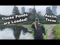 Public Bass Fishing in Austin, Texas! (Urban Bass Fishing Ponds)