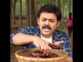 చింతకాలు చూసి ఇవి ఏం కాయలు వంకర టింకర ఉనాయి అంటున్నారు వెంకటేష్ #వెంకటేశ #hero #viral #popular