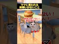 ㊗️100万再生！！【猫ミーム】ママに言われて納得いかないこと　#猫ミーム #shorts #catmemes #猫マニ #あるある