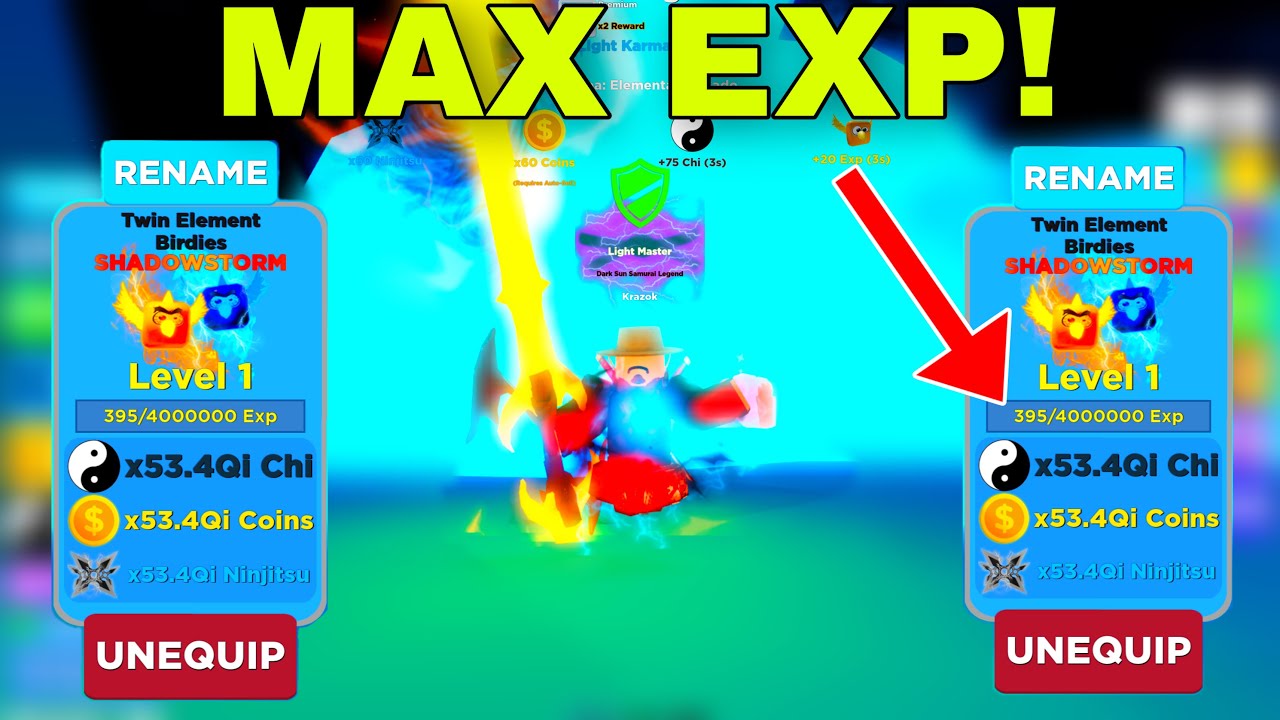 How To Get MAX PET EXP in Ninja Legends ~ Roblox - YouTube