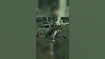 They never break the pallet