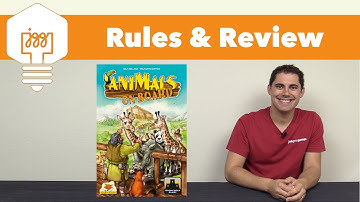 Animals on Board Review