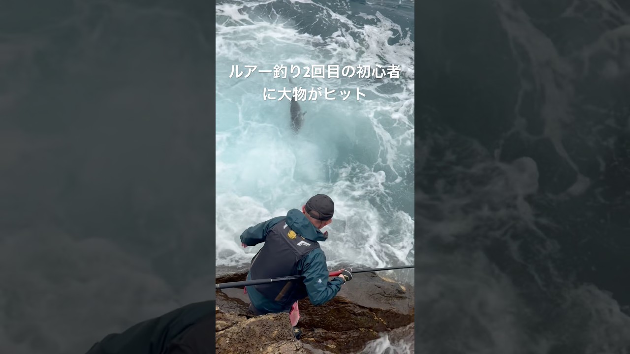【ルアー釣り2回目】10kgの怪物、掛かりました。 #磯釣り #ルアーフィッシング #釣り初心者 #ショアジギング