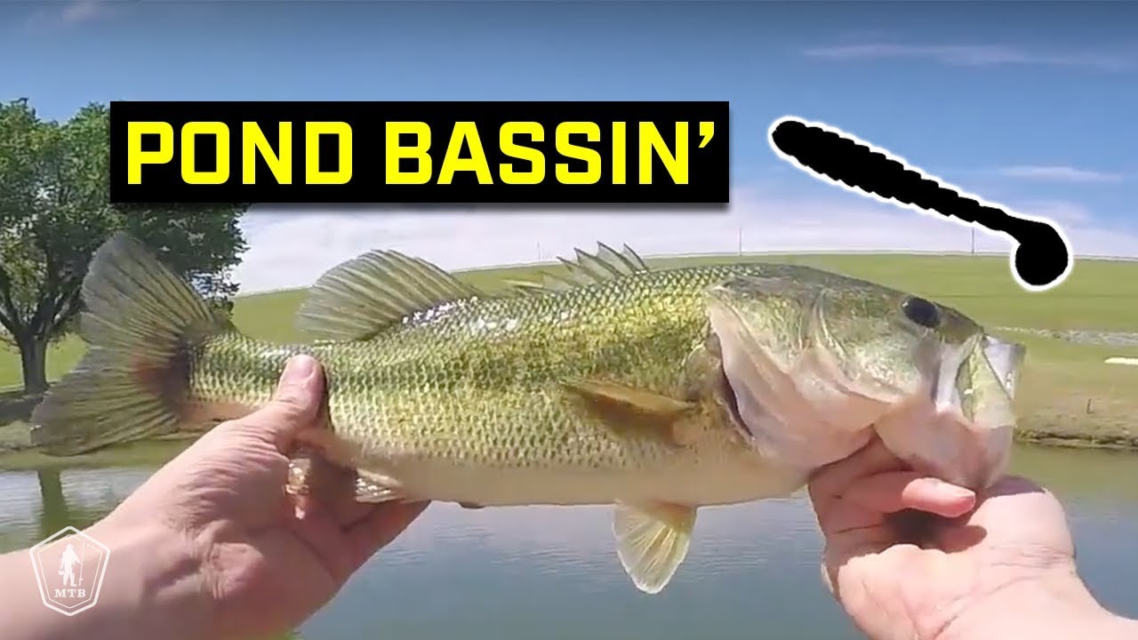 This Bait Catches A TON Of Pond Bass! 