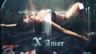 Kim Loaiza - X AMOR (Announcement Album)