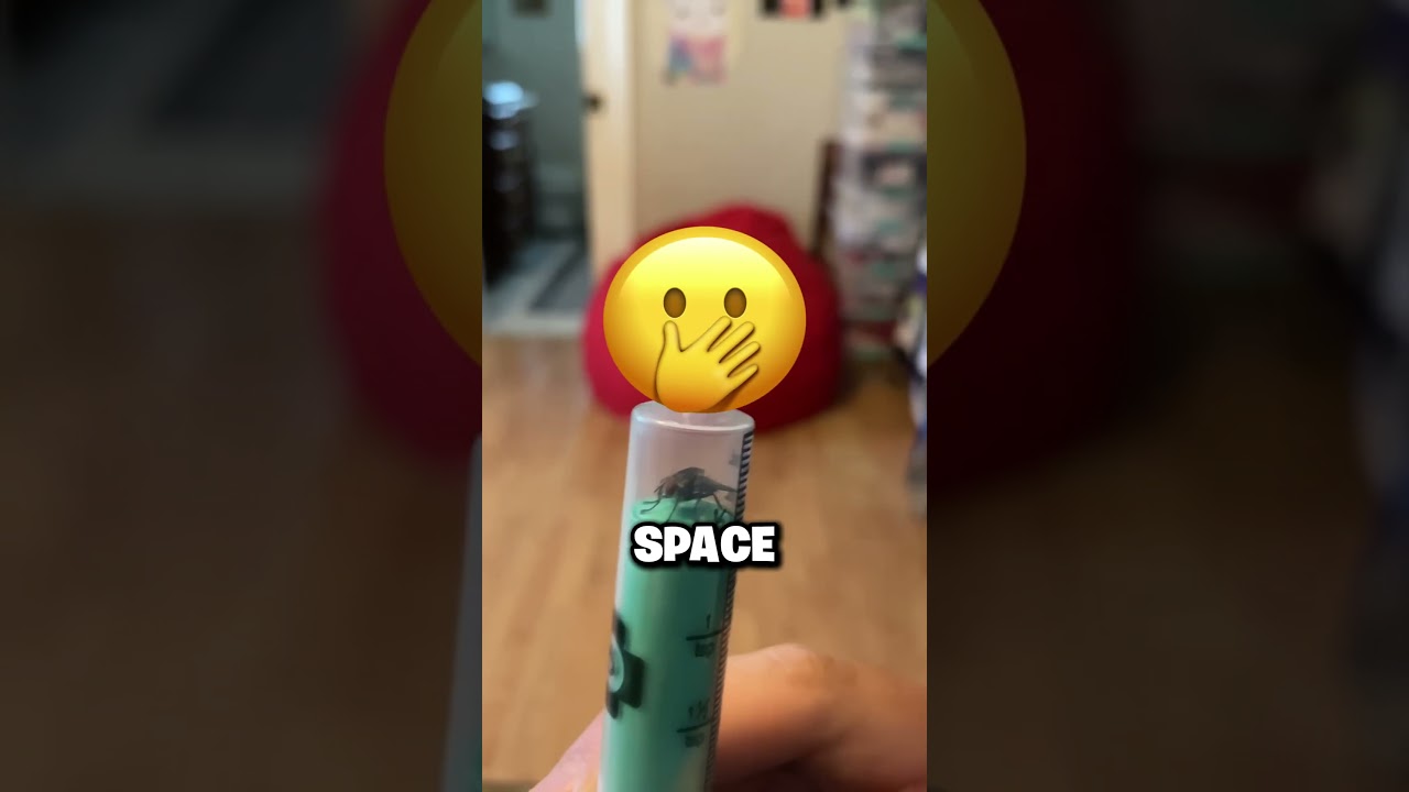 This Fly Is CAUGHT!? 🪰😎