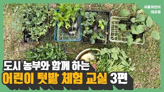 도시 농부와 함께 하는 어린이 텃밭 체험 교실 (3편)썸네일