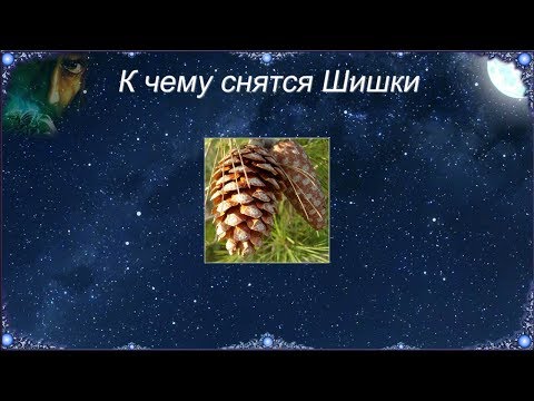 К чему снятся Шишки (Сонник)