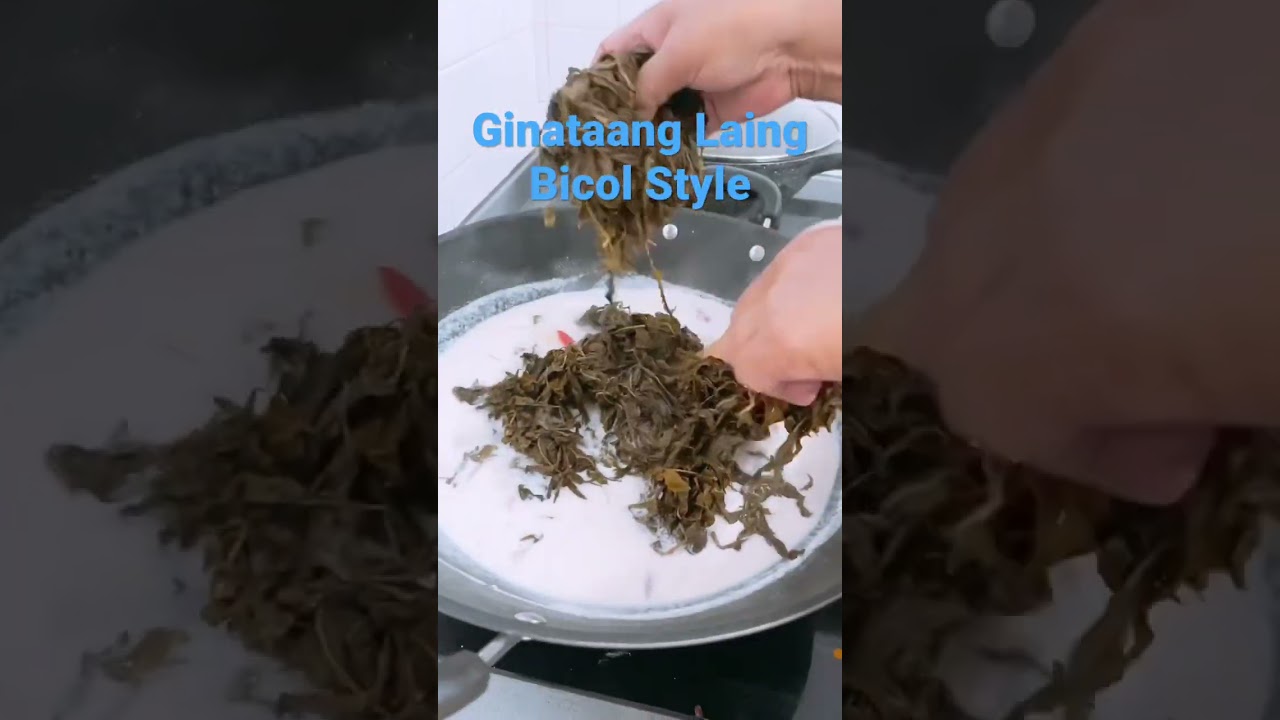 Ginataang Laing Bicol Style.             