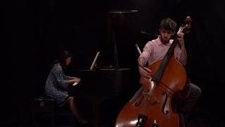 Brahms: Violin Sonata No. 1, mvt I