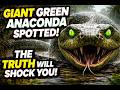 Giant Green anaconda Spotted in the Everglades? The Truth Will Shock You! | Python Ancient 🐍