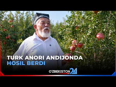 Turk anori Andijonda hosil berdi | O’zbekiston vaqti bilan (17.09.2026)