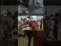 تراث فلاتة تلس