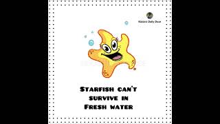 Is A Starfish Really A Fish|Facts About Starfish|Will Surely Surprise You| Educational Video