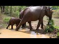 ARWC2019 Location Announcement - Sri Lanka