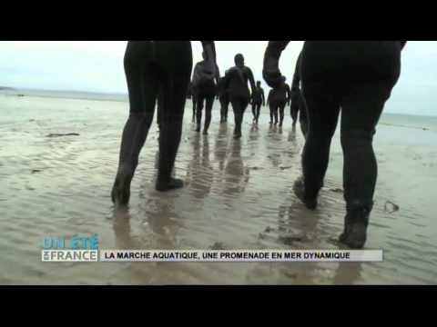 Vidéo: Comment Les Marcheurs Aquatiques Restent Sur L'eau