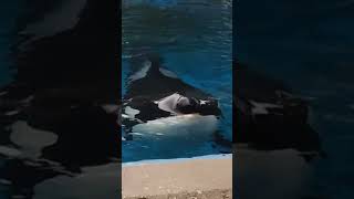 FULL BEHIND THE SCENES VIDEO OF INSIDE LOOK!!!!! COMING SOON