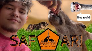 GOT MY HAND BIT BY AN OSTRICH!!!! | Fossil Rim Wildlife Center