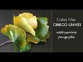 Coffee Filter Ginkgo Leaves