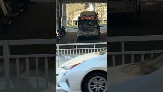 Bee-Line Bus 2009 Nabi 40 LFW NOT In Service
