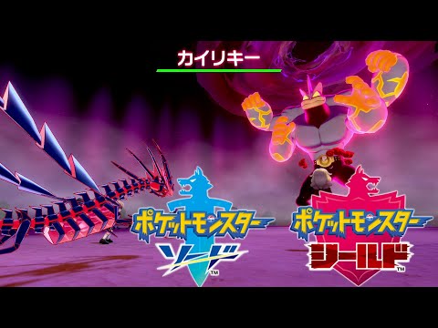 キョダイマックス カイリキー 捕獲 ポケモン剣盾 ソード シールド Pokemon Sword And Shield Youtube