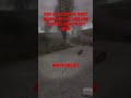 Stalker Phoenix: installing mods and mod optimizer 2 Stalker:Shadow of Chornobyl PS5: Episode 107