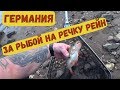 Рыбалка на Реке  Рейн горд Динслакен /с  ночевкой  на палатках #рыбалкавгермании #жизньвгермании